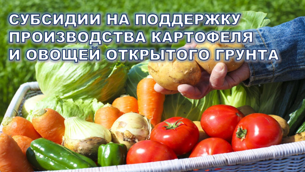 Министерством сельского хозяйства и продовольствия Самарской области в период с 31.03.2025 по 13.04.2025 года объявлены отборы получателей субсидии