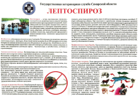 Лептоспироз. Памятка
